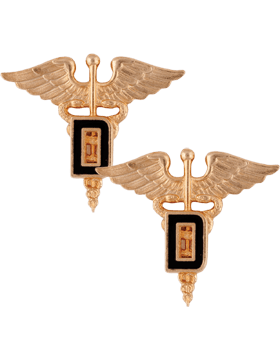 Dental Officer Army Branch Service badge by Saunders Military Insignia