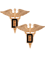 Dental Officer Army Branch Service badge by Saunders Military Insignia