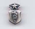 Dentist Chief Badge