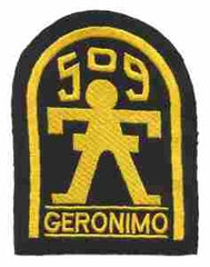 509th Parachute Infantry Full Color Patch by Saunders Military Insignia