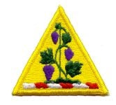 Connecticut National Guard Full Color Patch - US Army Military Insignia by Saunders Military Insignia