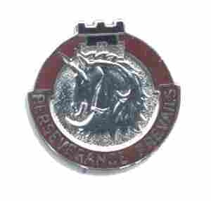 US Army 49th Medical Battalion Unit Crest by Saunders Military Insignia
