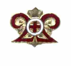 US Army 73rd Combat Support Hospital Unit Crest