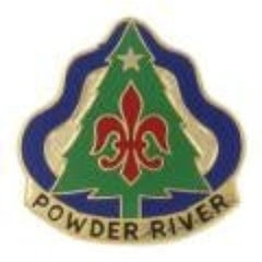 US Army 91st Division Training Unit Crest by Saunders Military Insignia