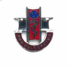 US Army 300th Combat Support Hospital Unit Crest by Saunders Military Insignia