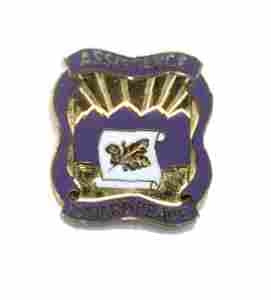US Army 399th Civil Affairs Group Unit Crest