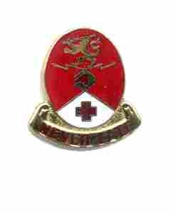 US Army 428th Medical Center Unit Crest