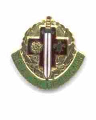 US Army 815th Station Hospital Unit Crest by Saunders Military Insignia
