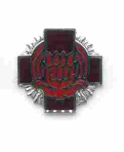 US Army 828th Evacuation Hospital Unit Crest by Saunders Military Insignia