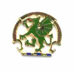 US Army Chemical School Unit Crest by Saunders Military Insignia