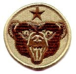 US Army Alaska desert subdued Patch by Saunders Military Insignia