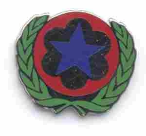 US Army DA Staff Support Unit Crest