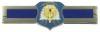 DISTINGUISHED CADET Badge by Saunders Military Insignia