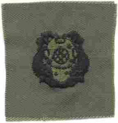 Divers 1st Class, Badge, cloth, Subdued by Saunders Military Insignia
