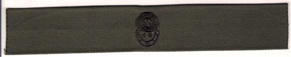 Divers 2nd Class Badge, cloth, Subdued