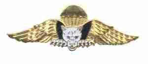 Dominican Republic Para Wing by Saunders Military Insignia