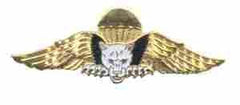 Dominican Republic Para Wing by Saunders Military Insignia
