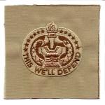 Drill Sergeant Patch in desert subdued by Saunders Military Insignia
