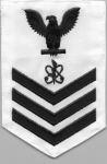 Electronic Warefare Technican Navy Rating (EW) by Saunders Military Insignia