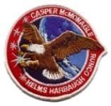 ENDEAVOUR 1 93 cloth patch by Saunders Military Insignia