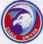 F15 Eagle Driver Patch Embroidered Aviation Patch Pro