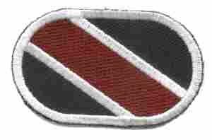 Field Epidemiological Survey Team (Airborne) Oval by Saunders Military Insignia