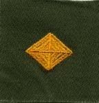 Finance Badge, cloth, Olive Drab by Saunders Military Insignia