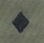 Finance subued Army Branch of Service insignia