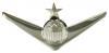 Fligh Pilot With Star, Mirror Finish by Saunders Military Insignia
