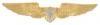 FLIGHT SURGEON Badge