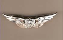 Flight Surgeon Basic Badge by Saunders Military Insignia