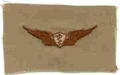 Flight Surgeon desert, Badge, Desert subdued by Saunders Military Insignia