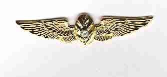 Flight Surgeon Navy Wing - Saunders Military Insignia