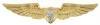 Flight Surgeon Regulation Badge by Saunders Military Insignia