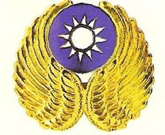 Flying Tiger Badge in Gold by Saunders Military Insignia