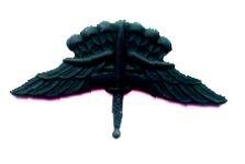 FreeFall Jump Wing Subdued Metal badge by Saunders Military Insignia