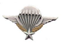 French Para Wing by Saunders Military Insignia