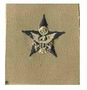 General Staff Army Branch Service by Saunders Military Insignia