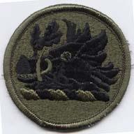 Georgia National Guard Subdued Patch - US Army Military Insignia