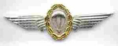 German Parachutist Wing - Saunders Military Insignia
