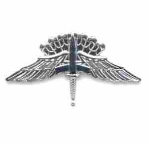 HALO Basic FreeFall, badge - Saunders Military Insignia