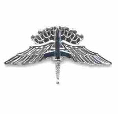 HALO Basic FreeFall, badge - Saunders Military Insignia