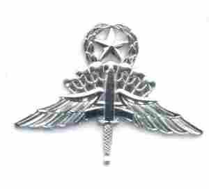 HALO Master (1995) badge