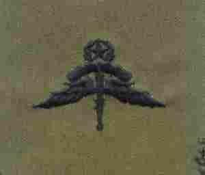 Halo Master Freefall, Badge, Cloth, Subdued by Saunders Military Insignia
