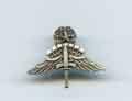 Halo Master Miniature badge in Silver Oxidized finish by Saunders Military Insignia