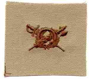 Inspector General Army Officers BOS