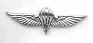 Israeli Basic Parachute Badge by Saunders Military Insignia