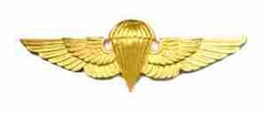Jordanian, Basic Jump Wing by Saunders Military Insignia
