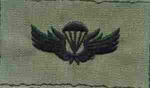 Korea para subued Foreign Jump Wing