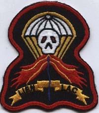 Liaison (Special Forces) Patch